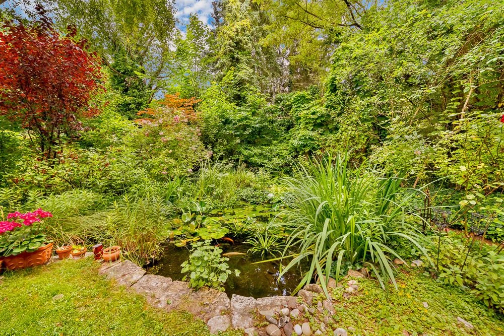 Garten mit Blick auf den Teich