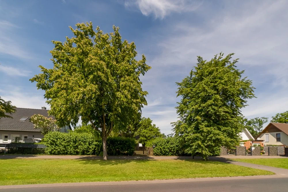 Straßenansicht von links